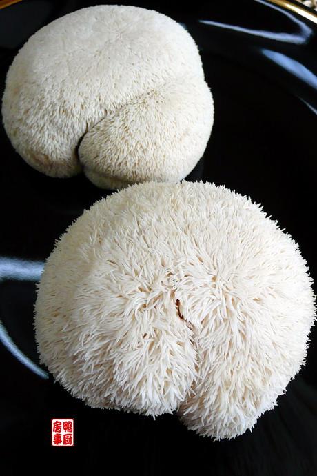 猴头菇鸡汤的做法