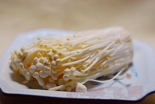 з���������𹽳���Ƭ������