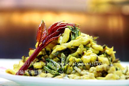 香椿鸡蛋卷的做法