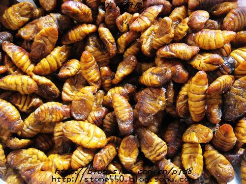 炒金丝蛹的做法