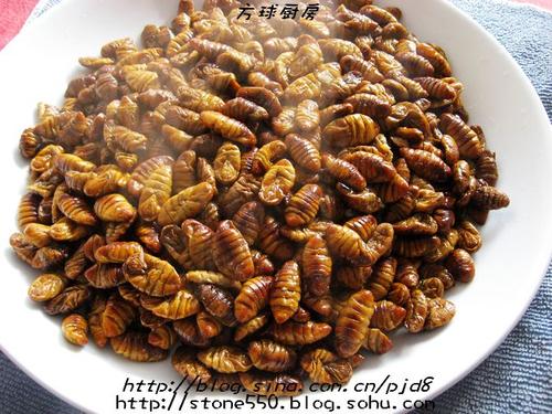 炒金丝蛹的做法