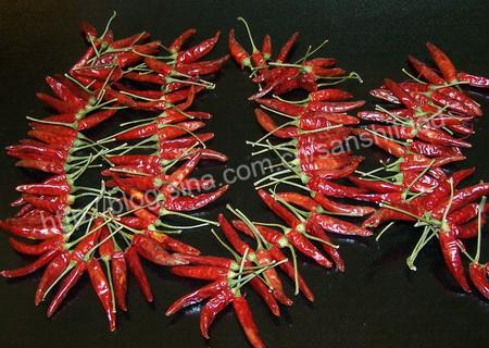 �����ܲ��ɵ�����