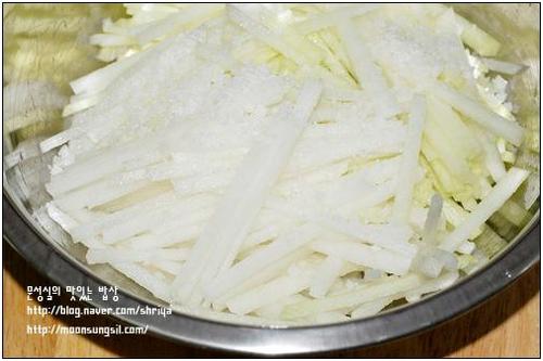 ��ʽ���˰���Ƭ������