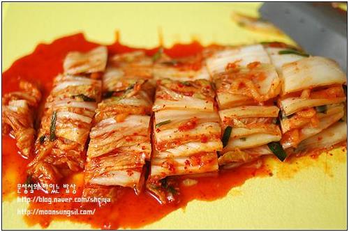 ��ʽ���˰���Ƭ������