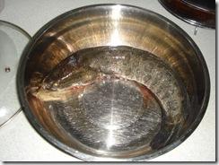 �ཷ����Ƭ������