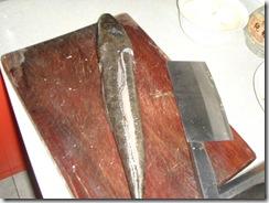 �ཷ����Ƭ������