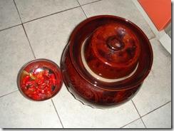 �ཷ����Ƭ������