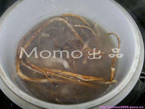 ��������������ָë�ҵ�����