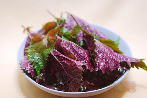 紫苏炆鹅的做法