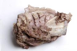 ���ֿ����ȵ�����