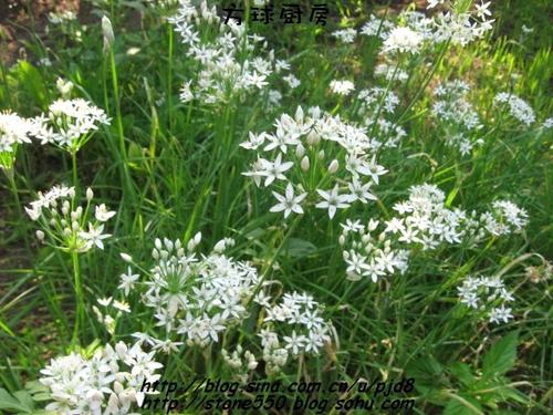 �²˻�С�ƹϵ�����