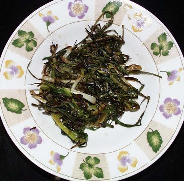 �п����ŵ�����