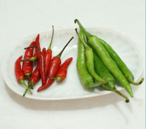 �׽������ӵ�����