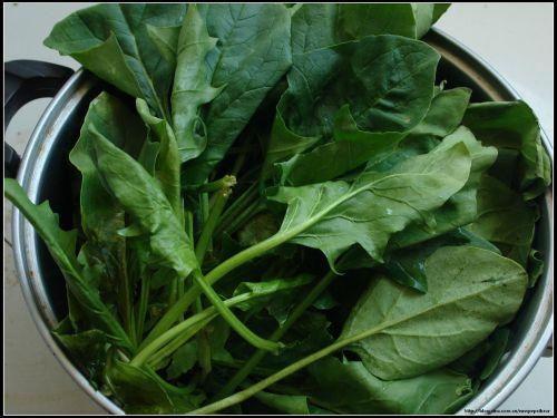 蒜香菠菜的做法