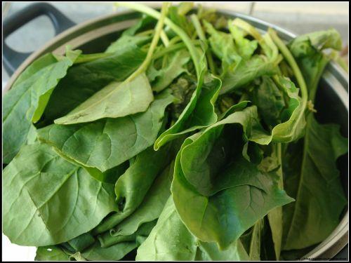 蒜香菠菜的做法