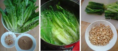 ����ݫ��Ҷ������