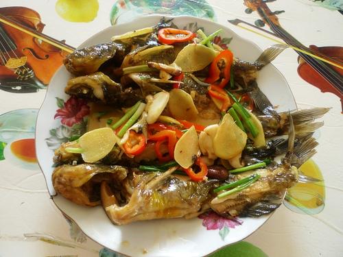 ơ���ջƹ��������