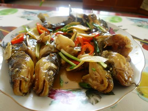 ơ���ջƹ��������