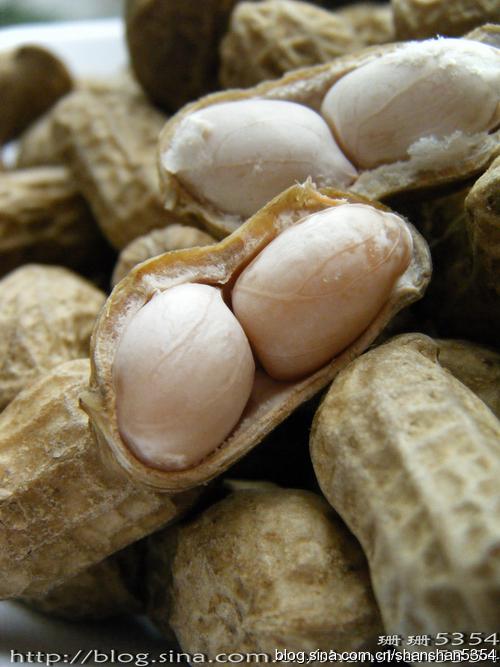 ±ˮ����������