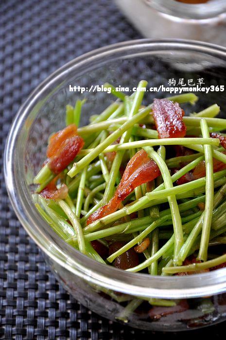 ���⳴޼�������