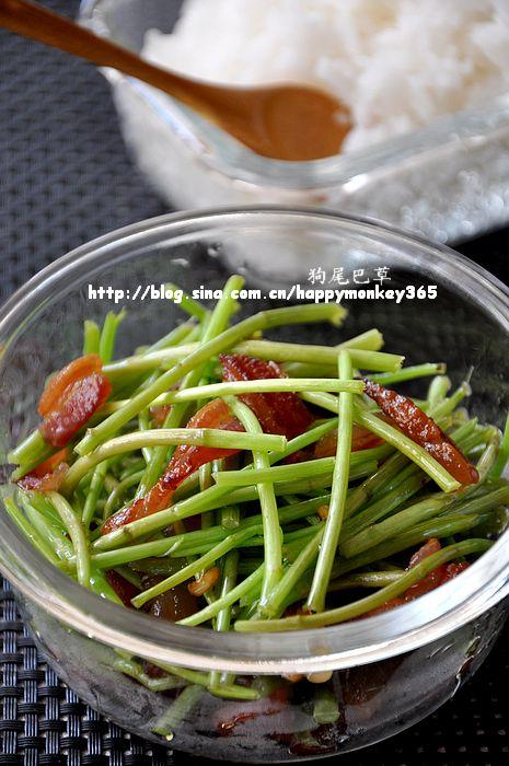 ���⳴޼�������