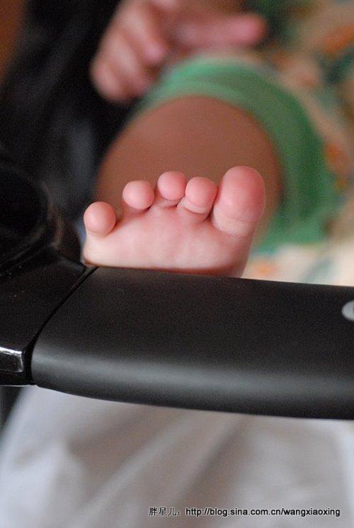 �������������