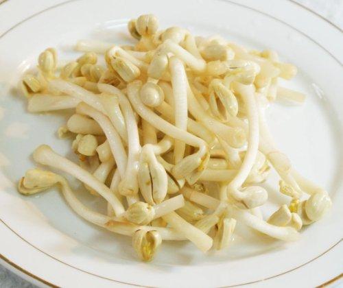 зζ��������ѿ������