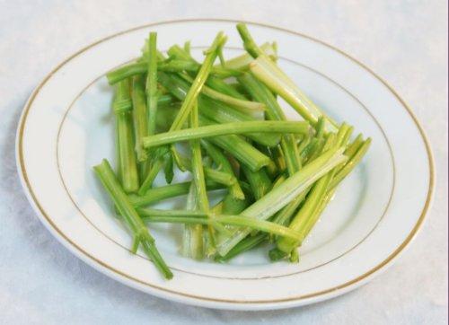 зζ��������ѿ������