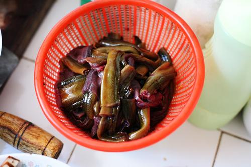 茶油酸菜炒鳝鱼的做法