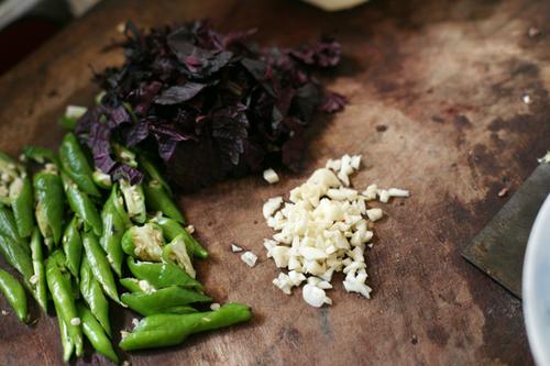 茶油酸菜炒鳝鱼的做法