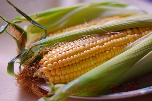 ����Ͳ��������������