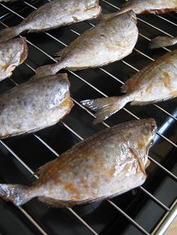 �㿾��Ƥ�������