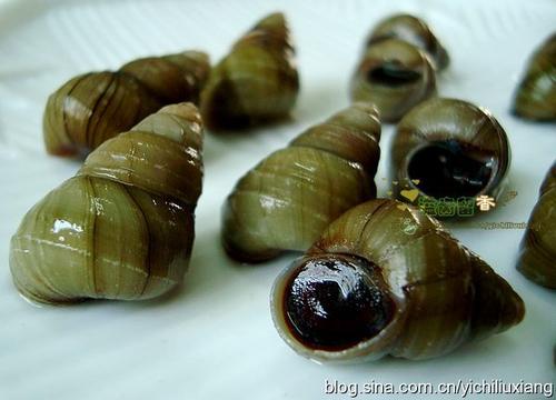 �²˴������������