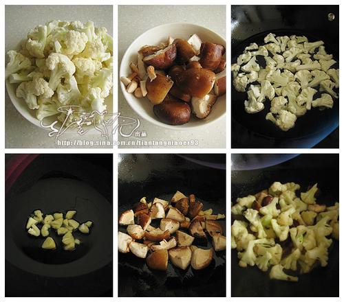 ����Ģ��������