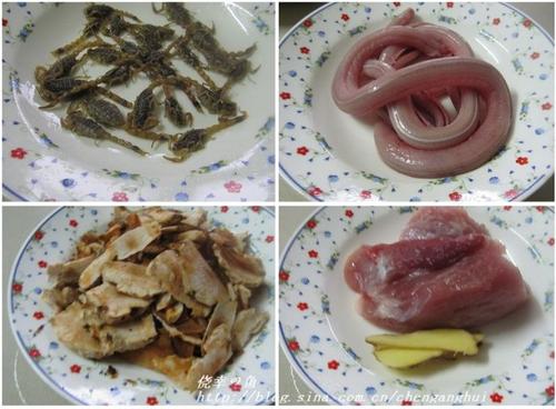 金边水蛇煲蝎子的做法