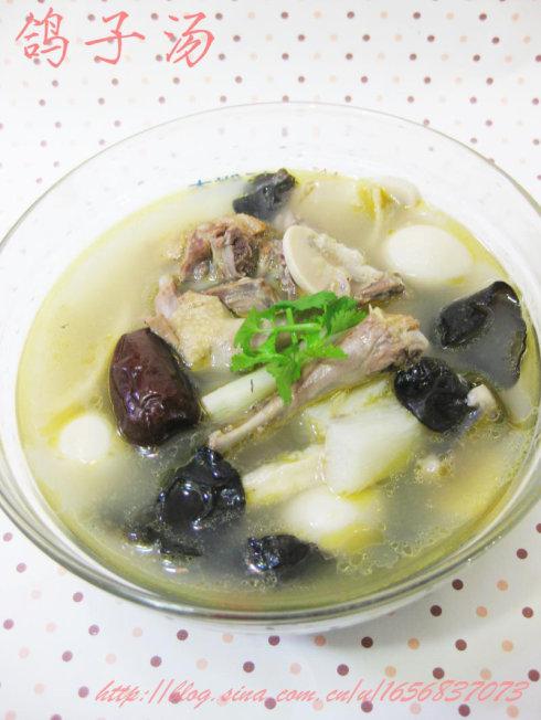 鸽子汤的做法