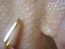 自制北京烤鸭的做法