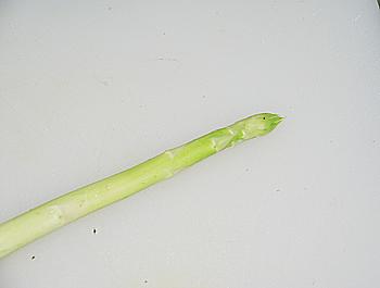 �ͷ��������׶���������