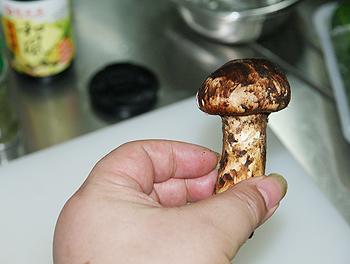 �ͷ��������׶���������