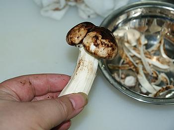 �ͷ��������׶���������