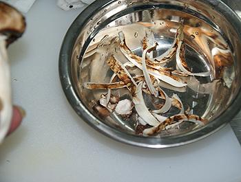 �ͷ��������׶���������