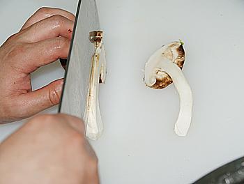 �ͷ��������׶���������