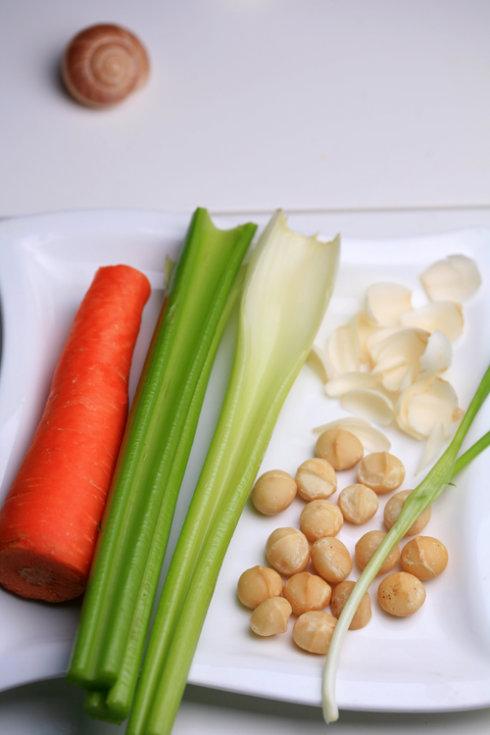 �����Ĺ����ٺϵ�����