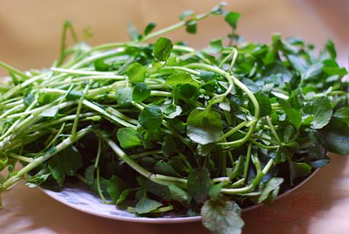 ������ʳ�����������