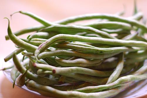 ���붹���ճ����������