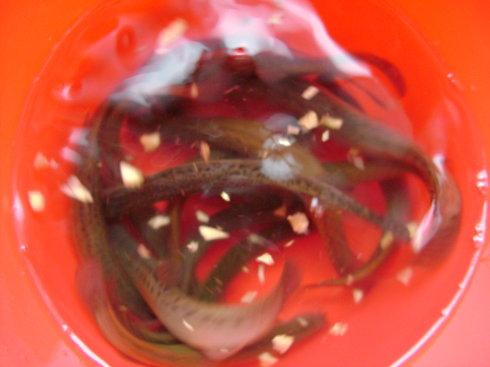 ����������������