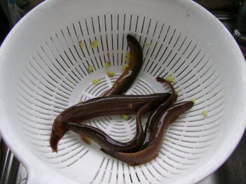 ����������������