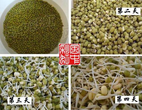 �罷�̶�ѿ������