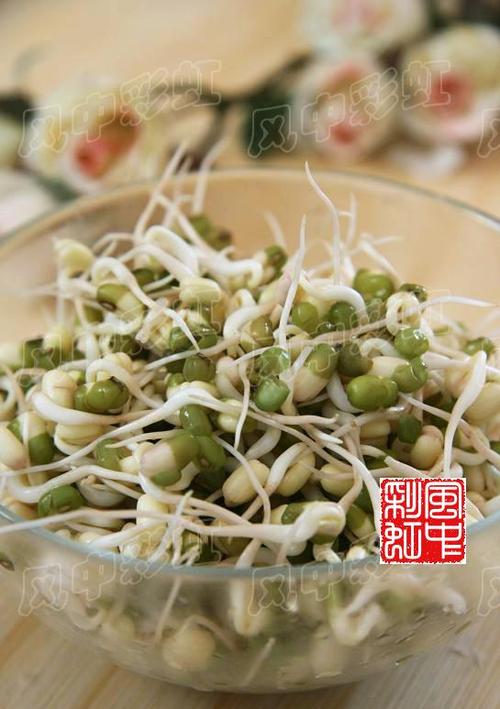 �罷�̶�ѿ������