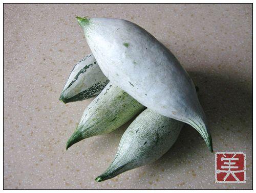 ������˻ƶ�������